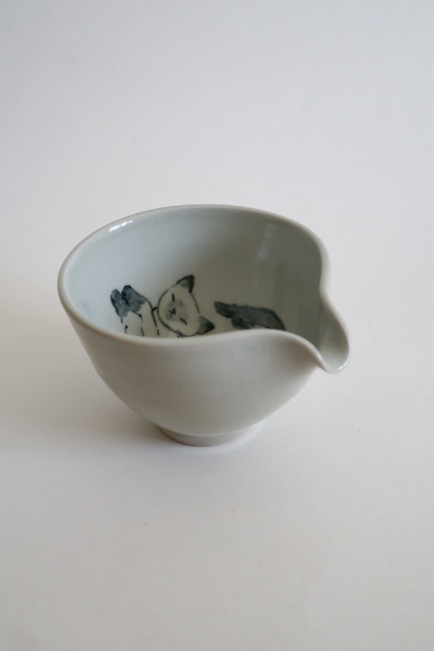 Pearl the cat in matcha bowl