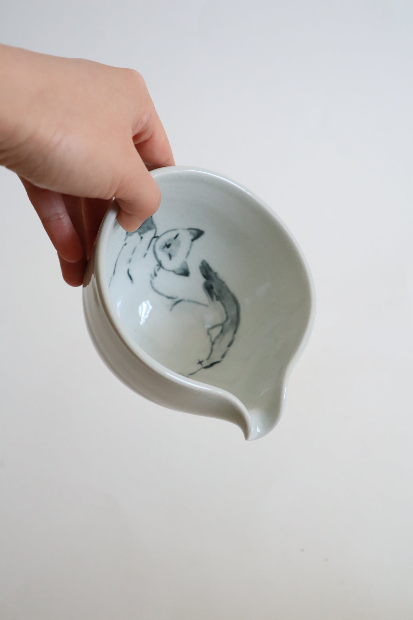 Pearl the cat in matcha bowl