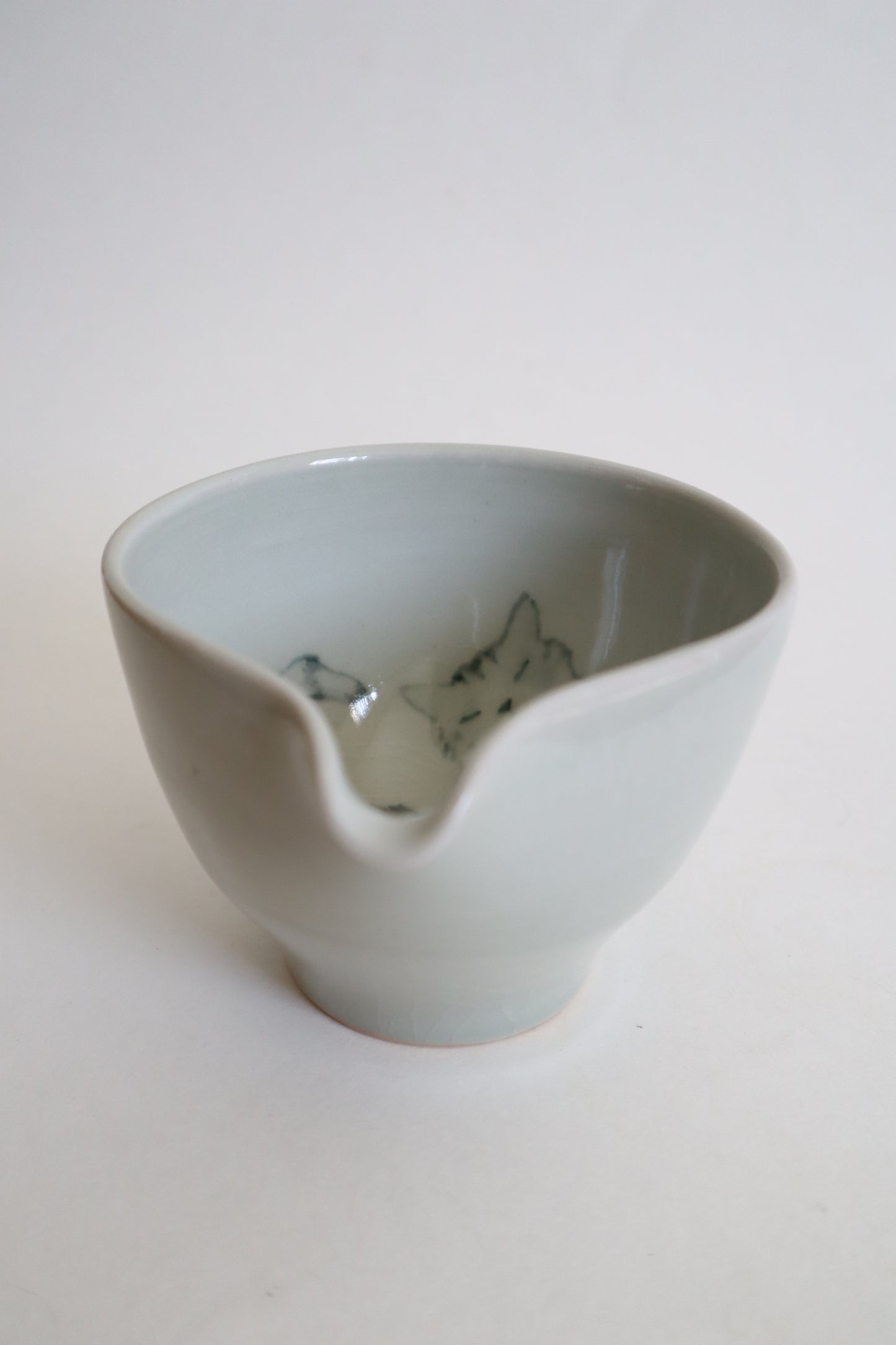 Loki the cat in matcha bowl