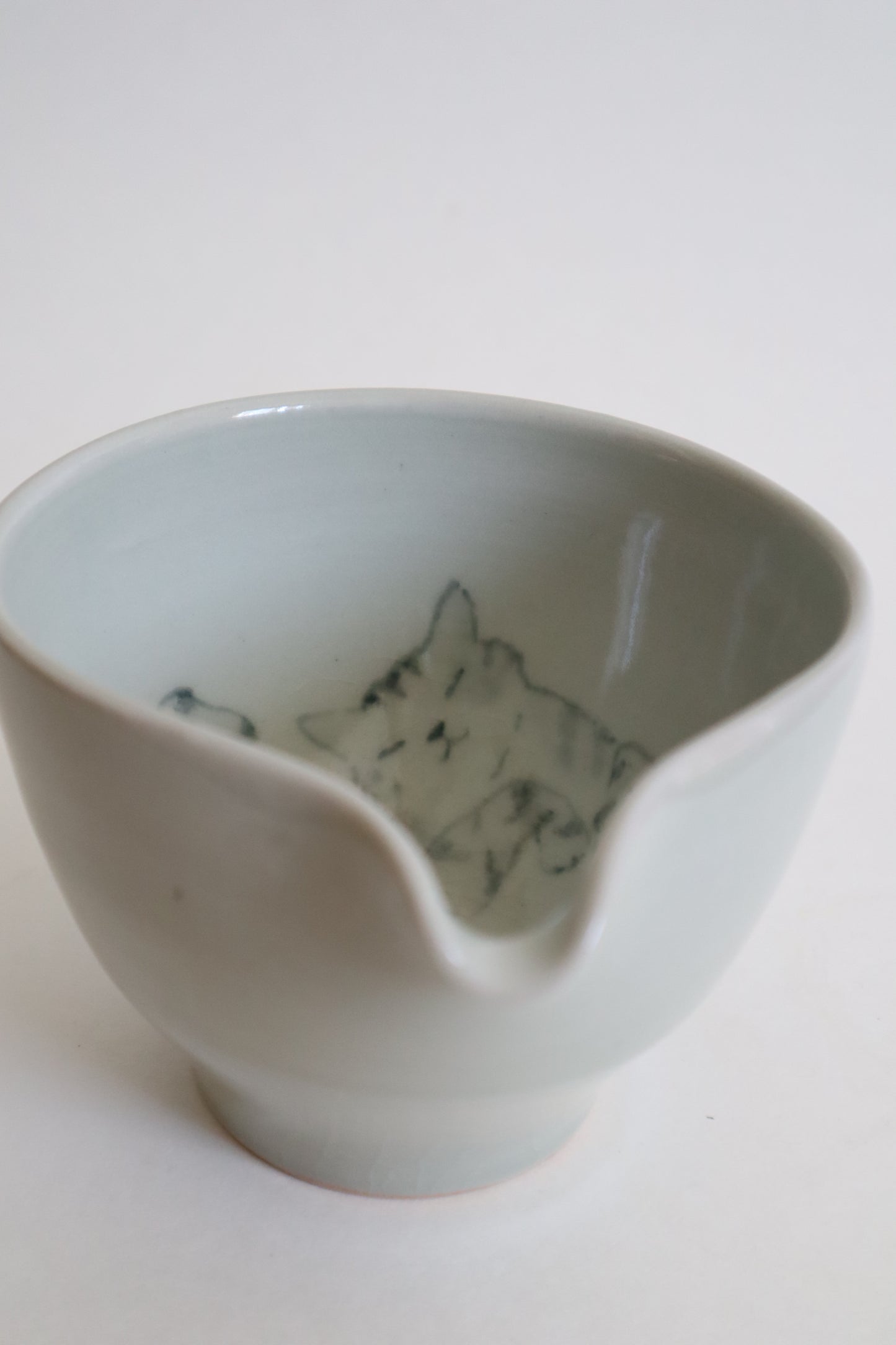 Loki the cat in matcha bowl