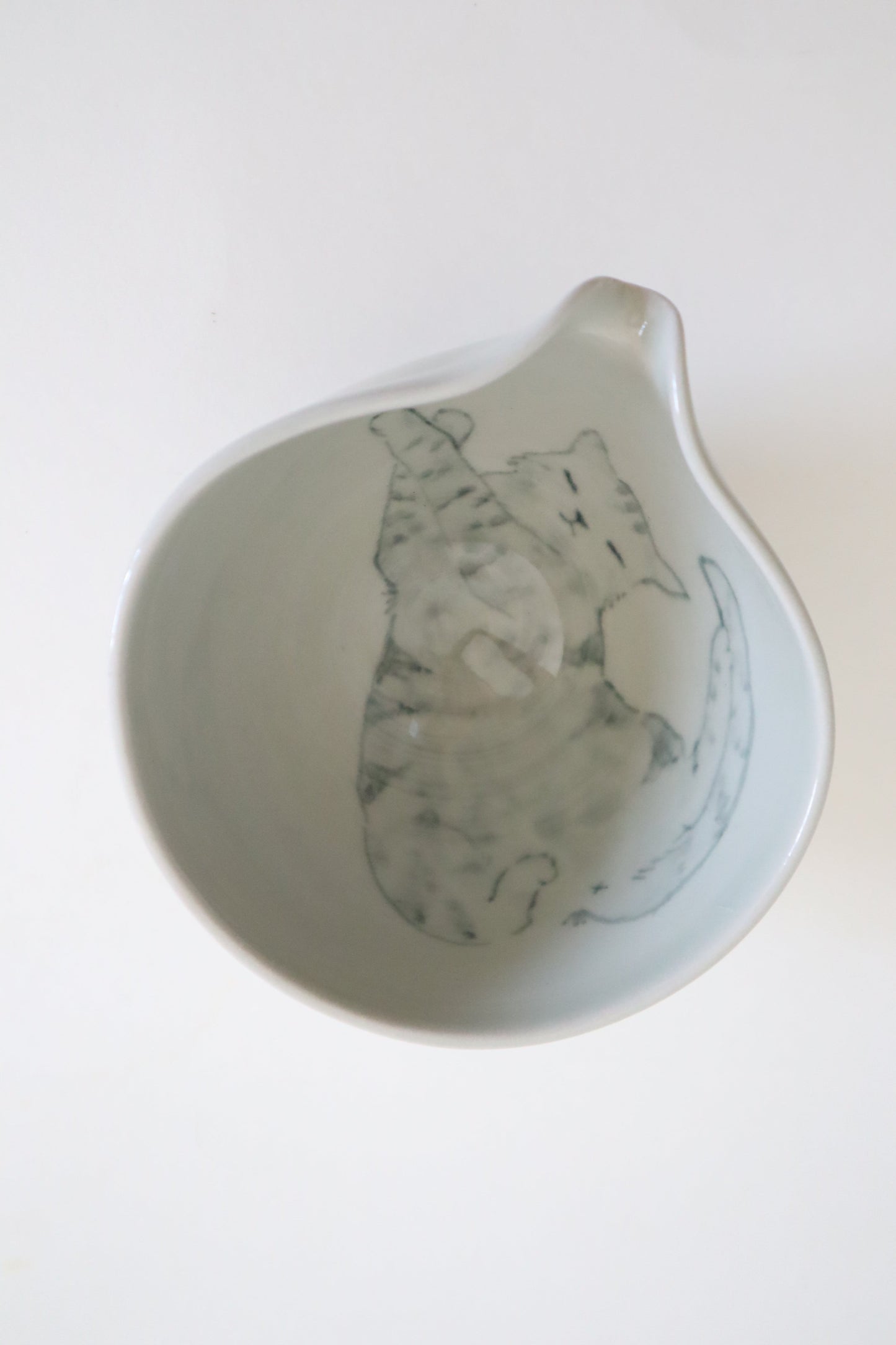 Chester the cat in matcha bowl