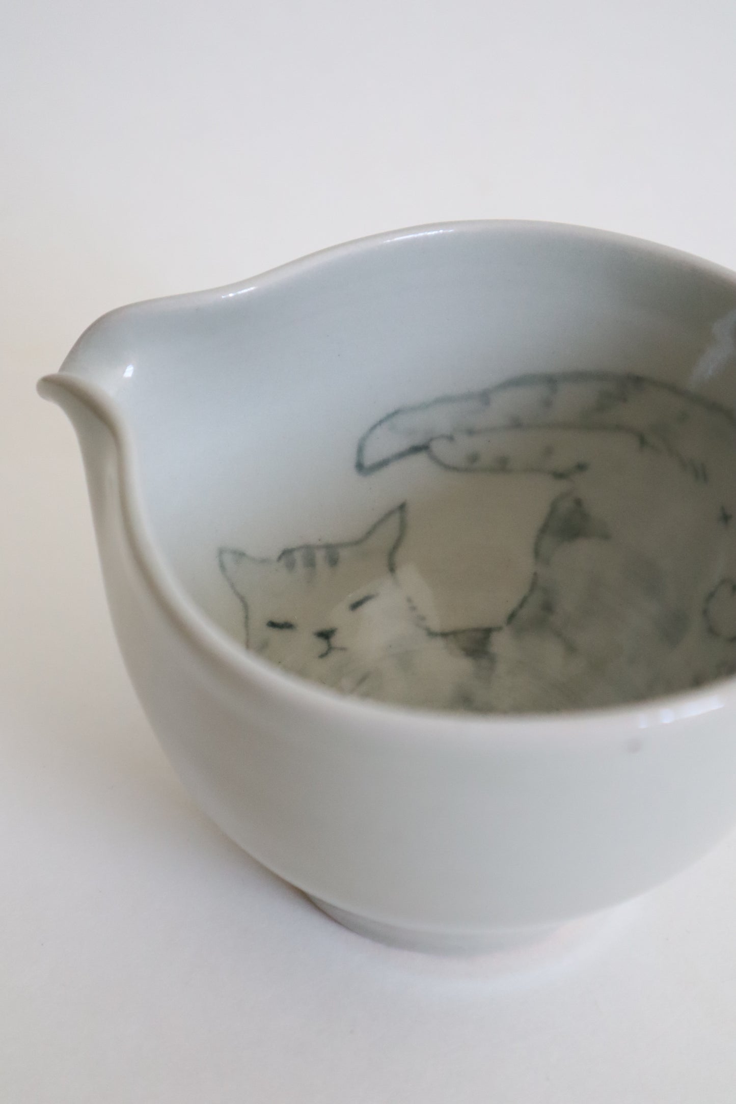 Chester the cat in matcha bowl