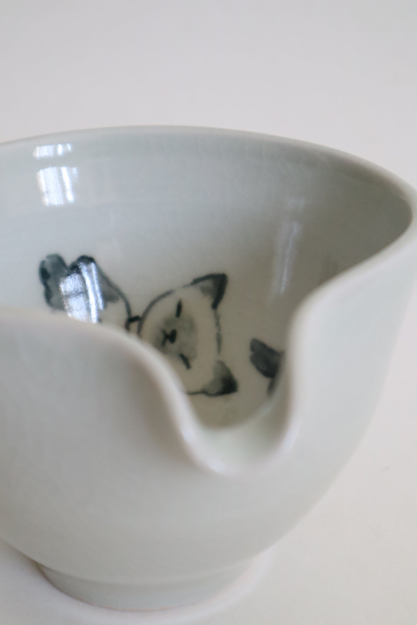 Pearl the cat in matcha bowl