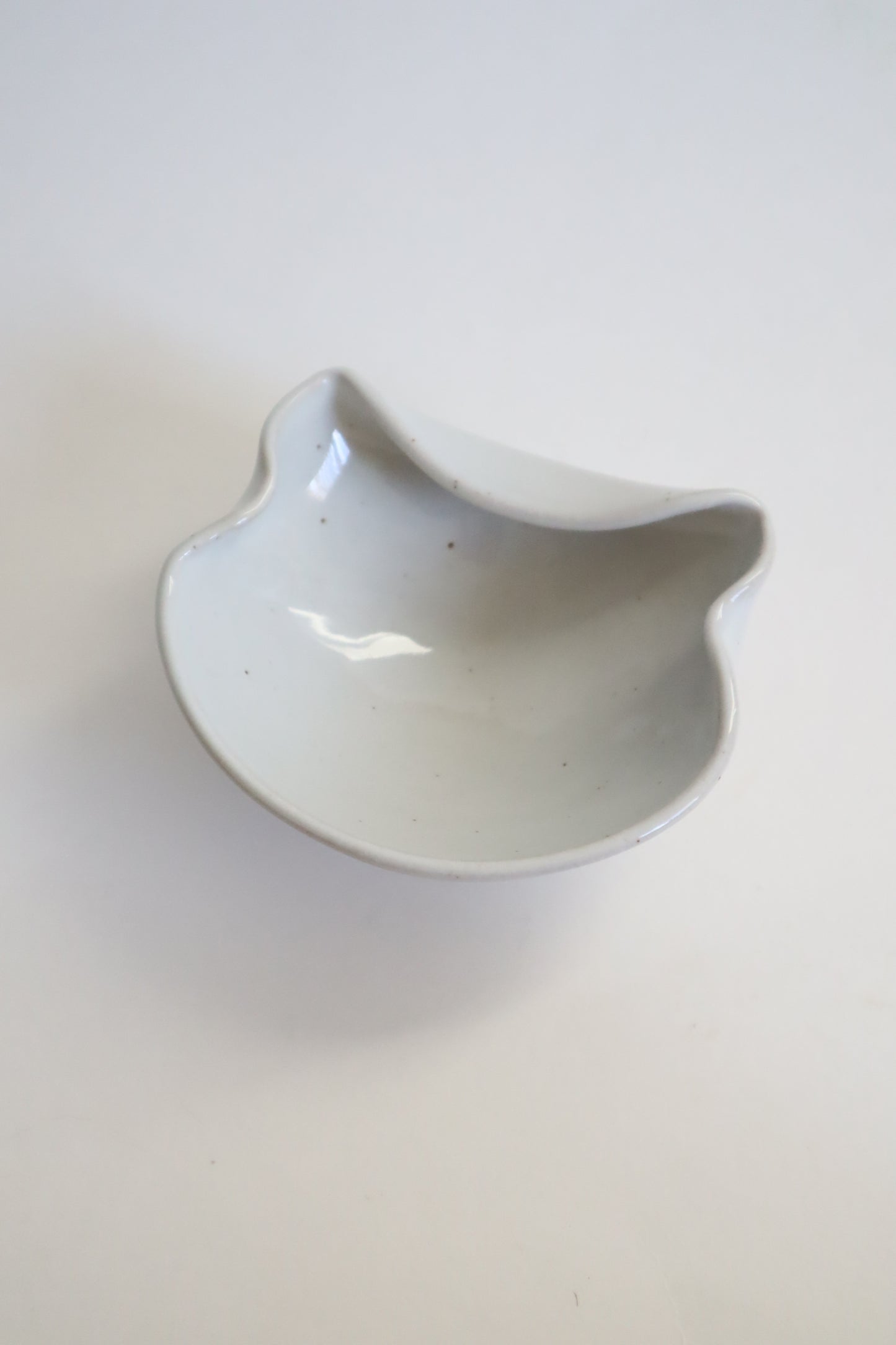 white cat dish