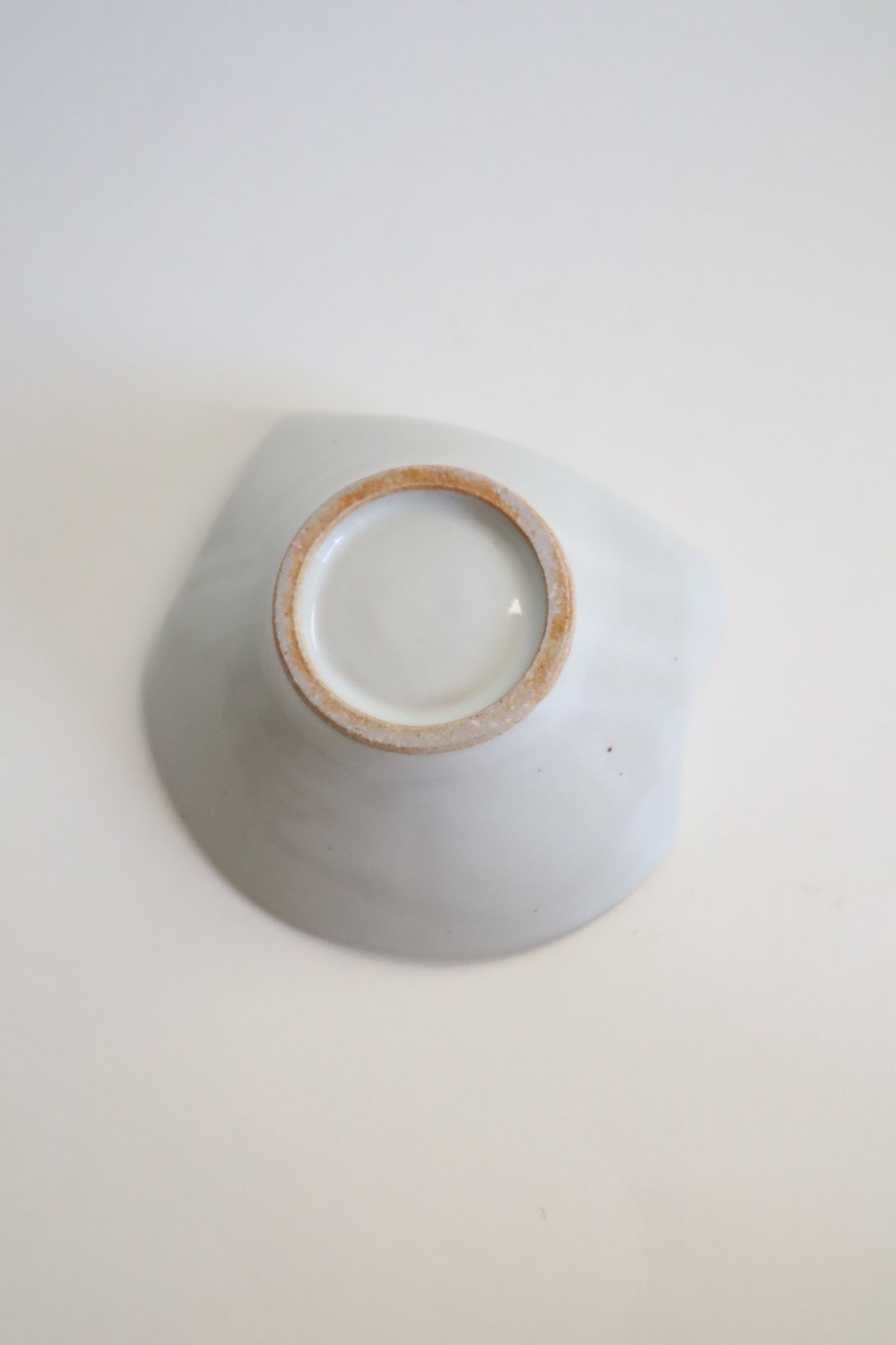 white cat dish