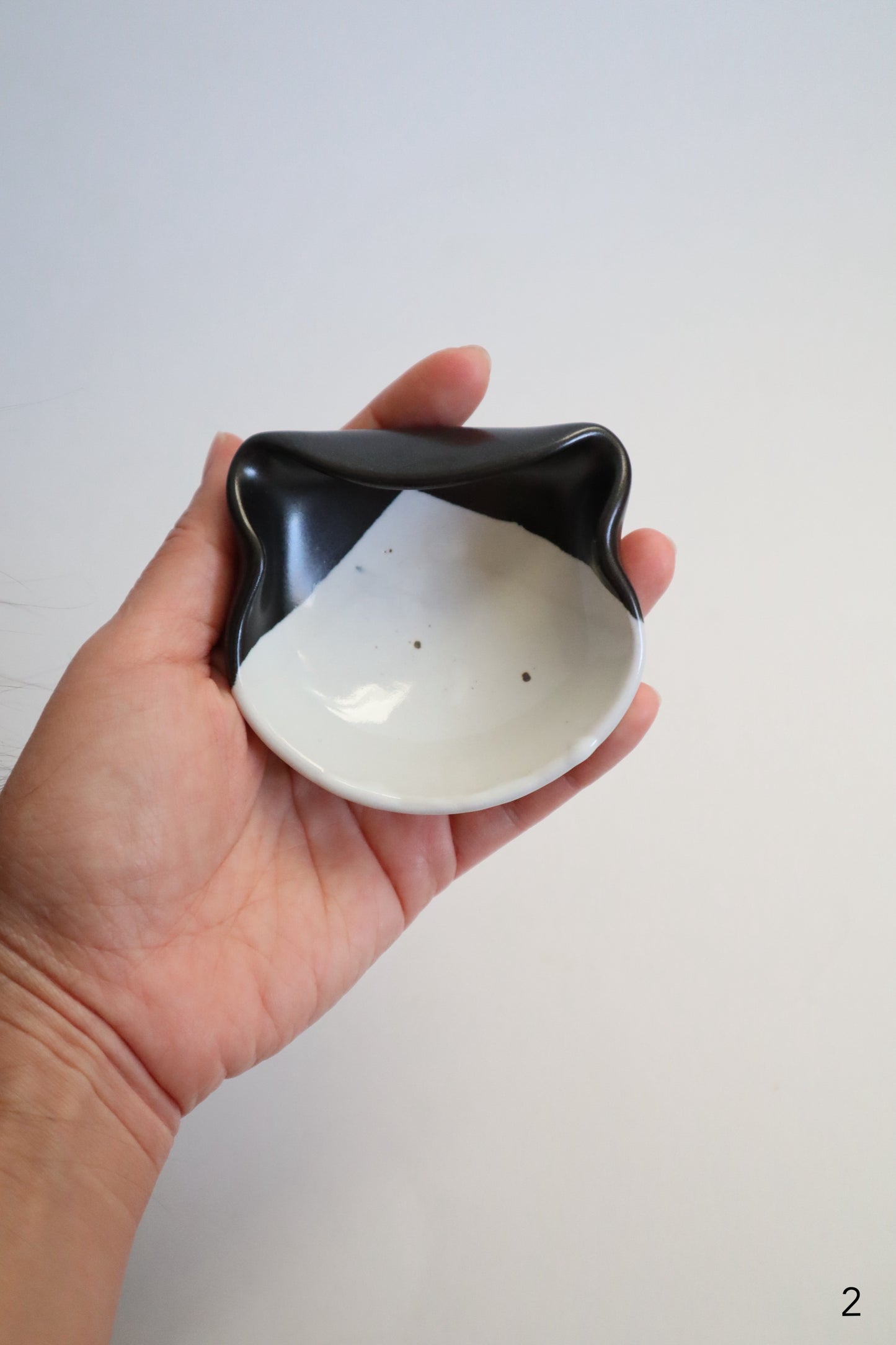tuxedo cat dishes