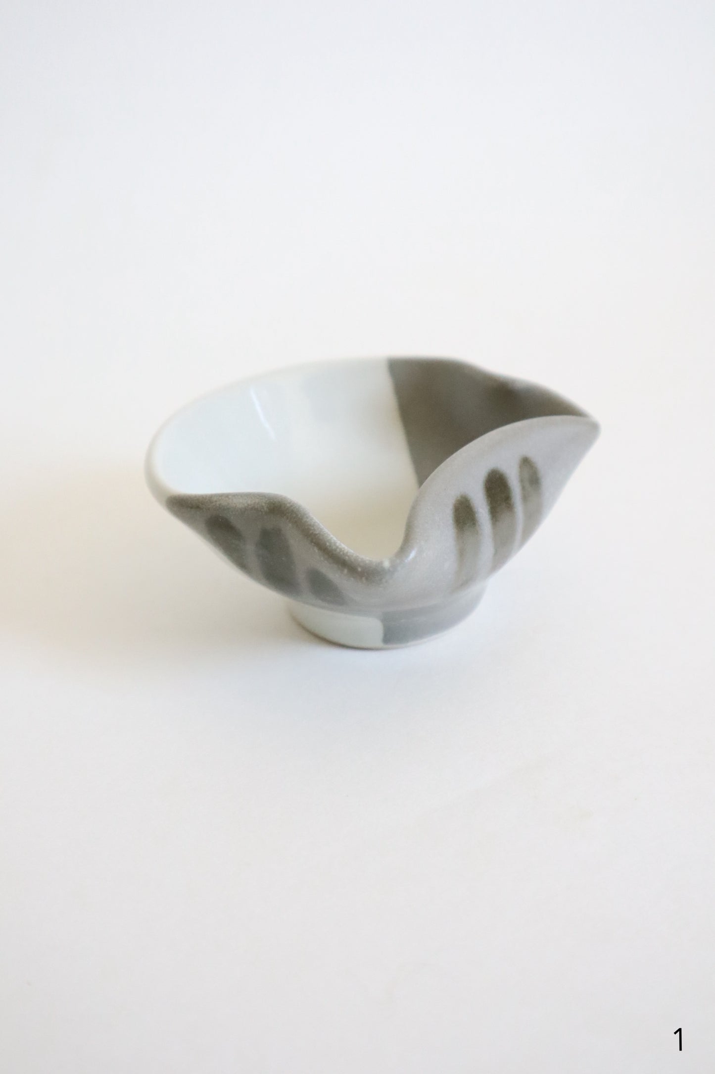 small gray & white cat dishes