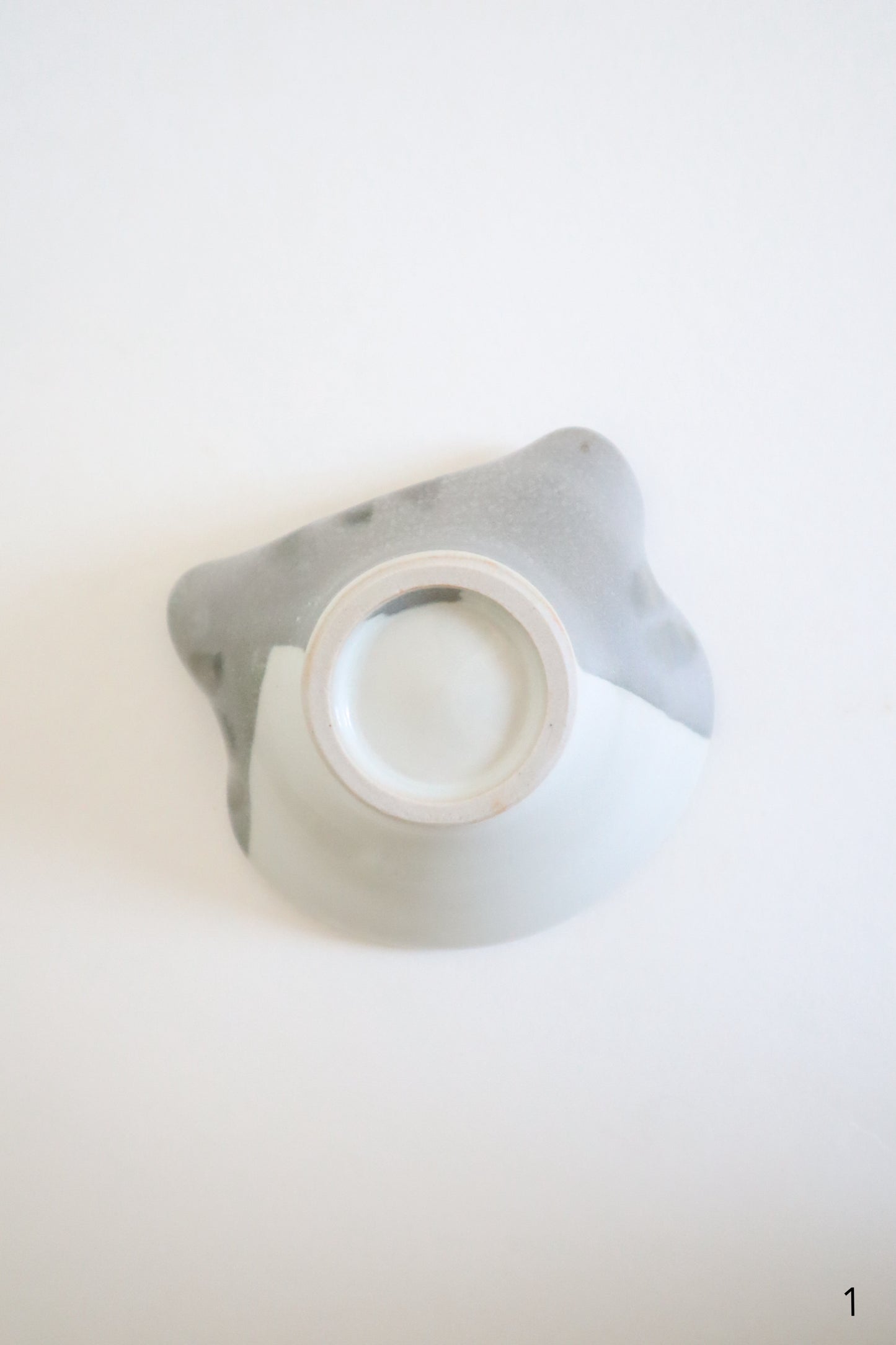 small gray & white cat dishes