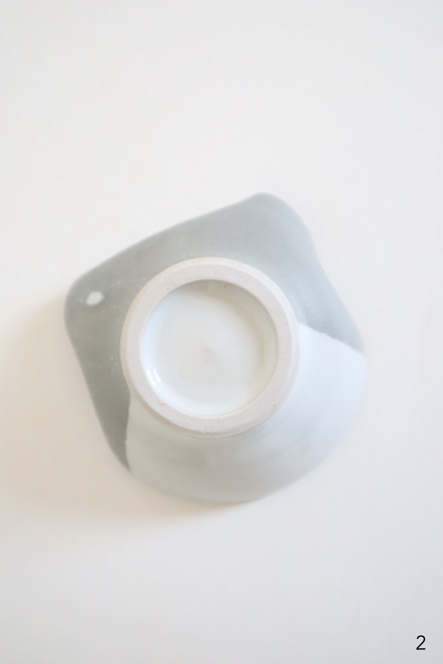 small gray & white cat dishes