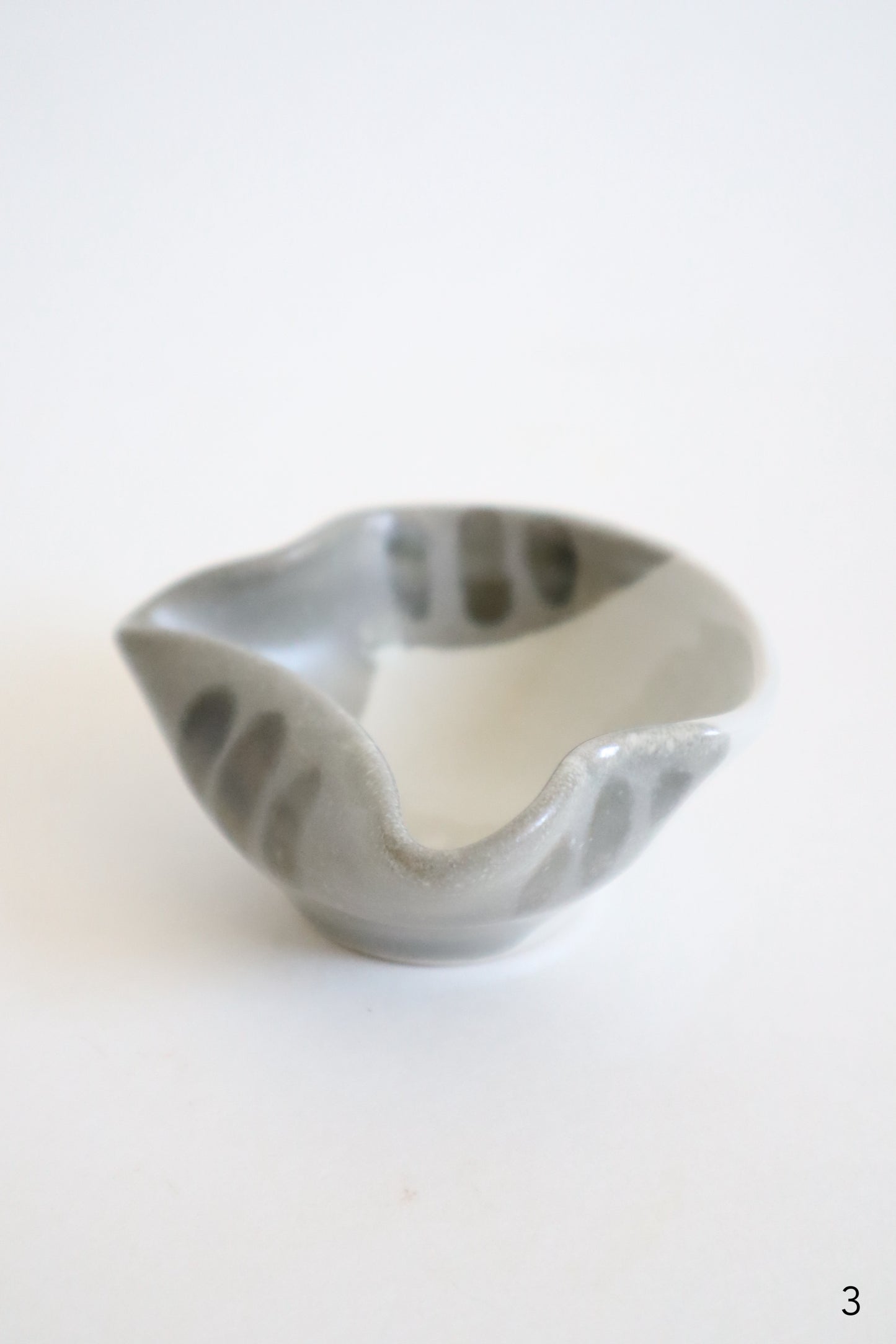 small gray & white cat dishes