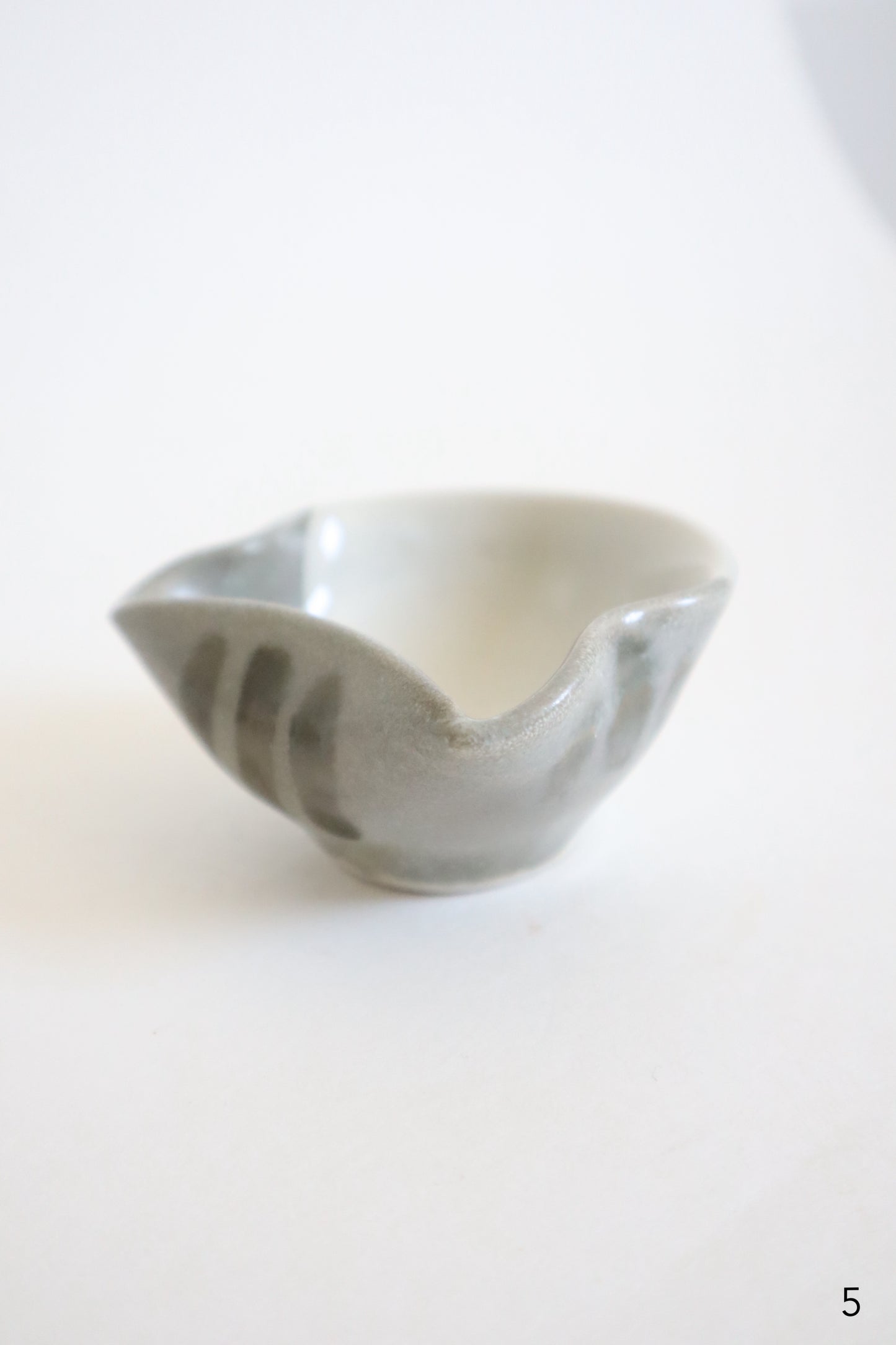 small gray & white cat dishes