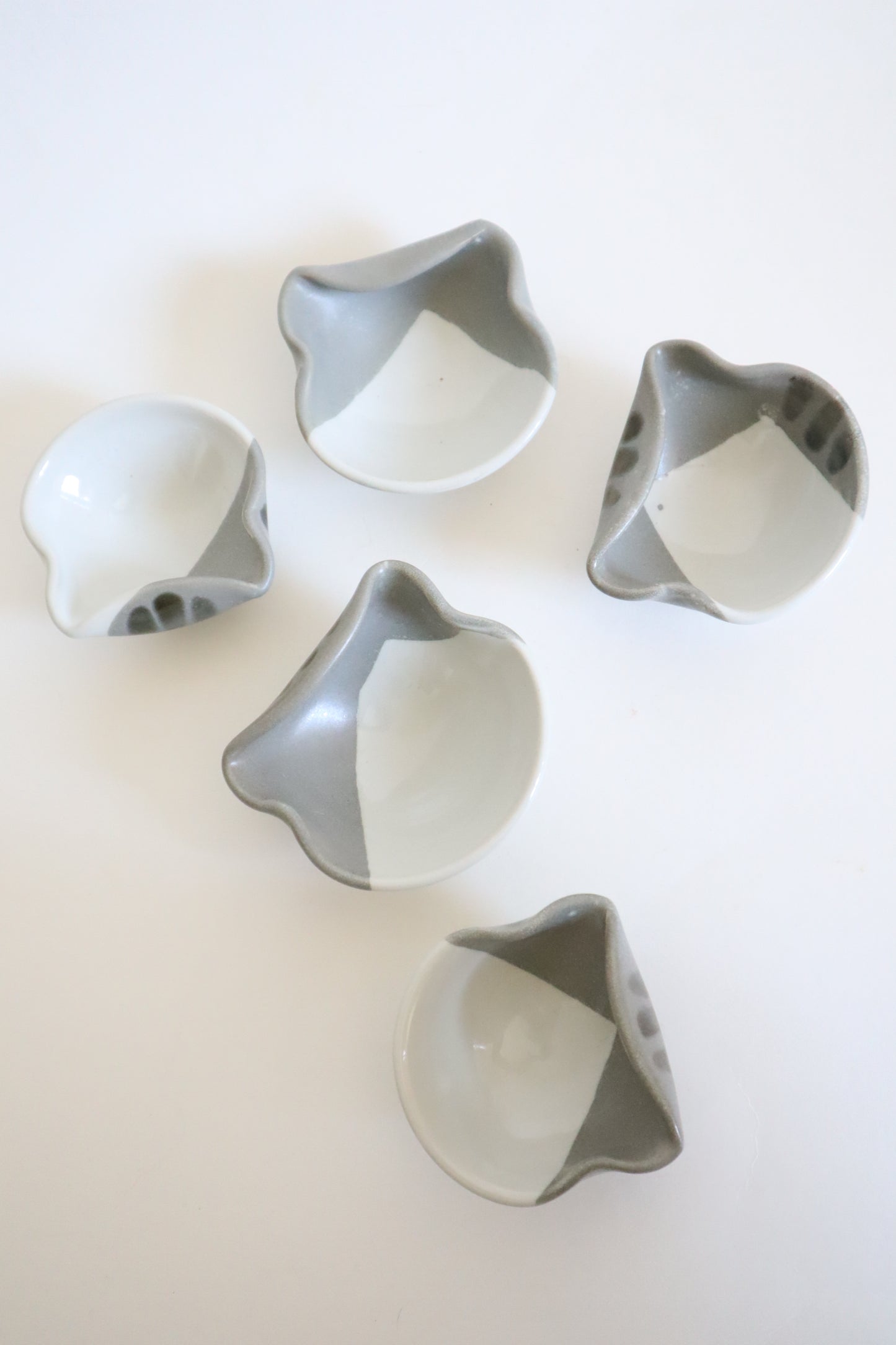 small gray & white cat dishes