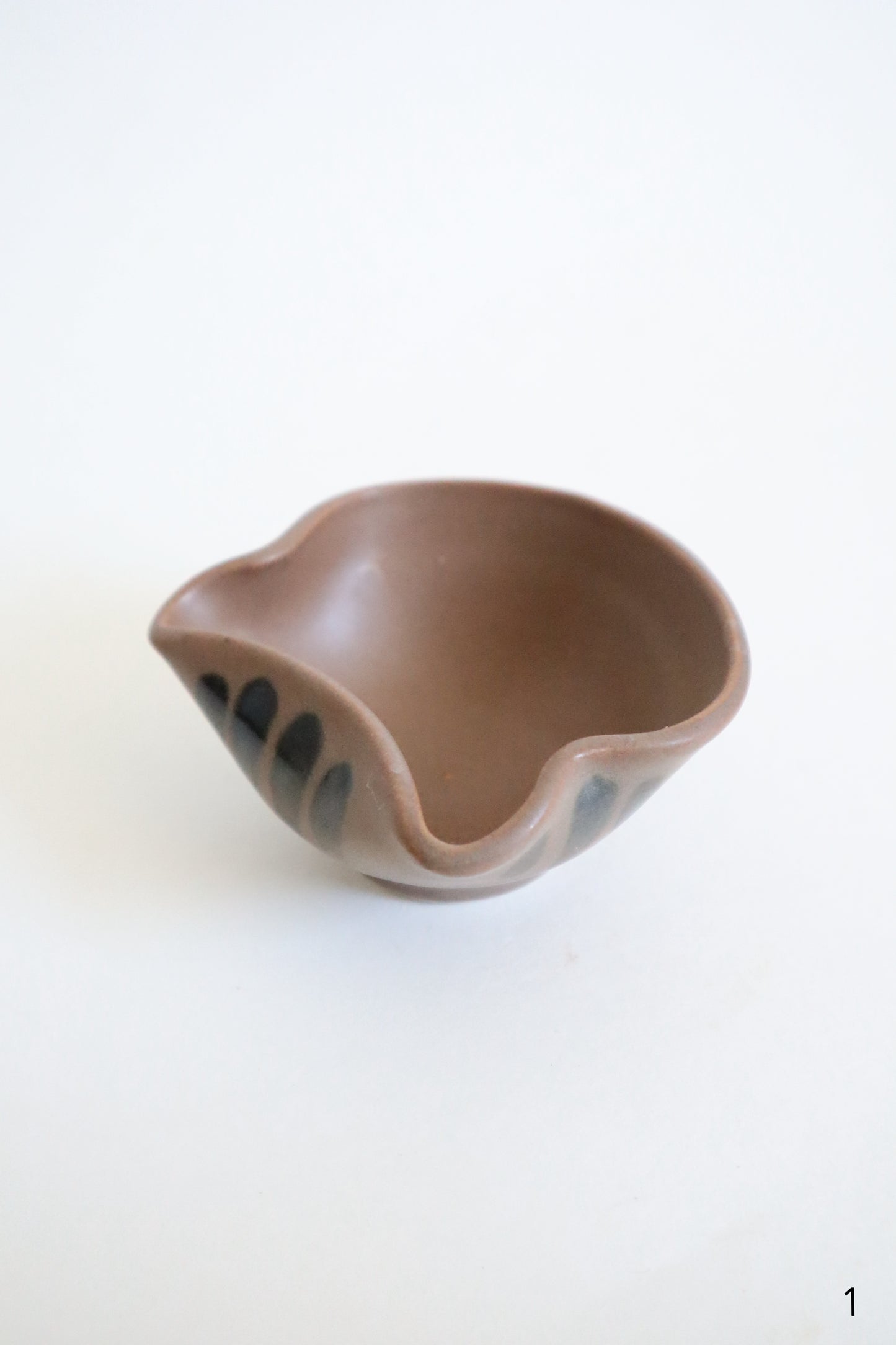 small brown cat dishes