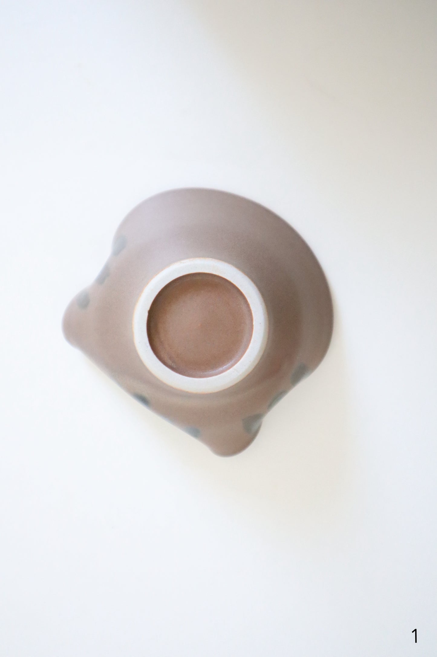 small brown cat dishes