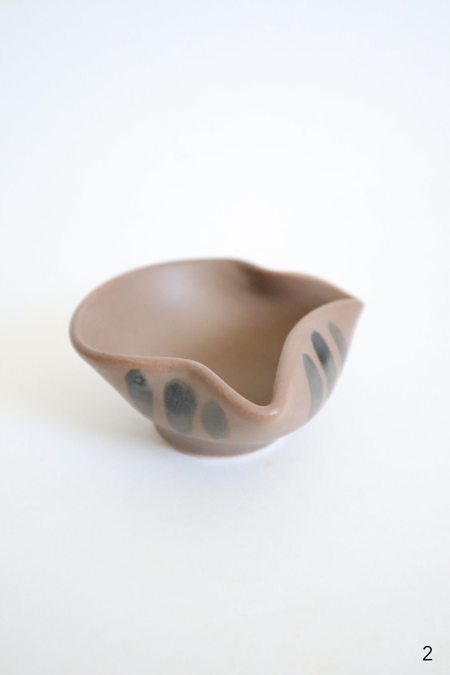 small brown cat dishes