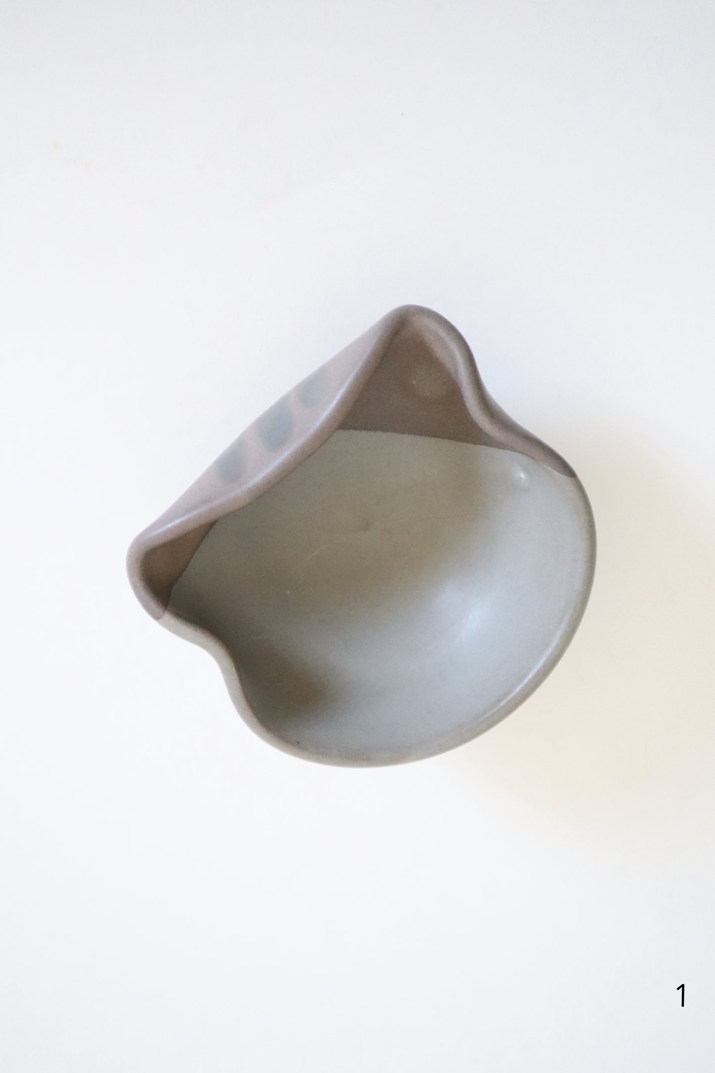 small gray cat dishes