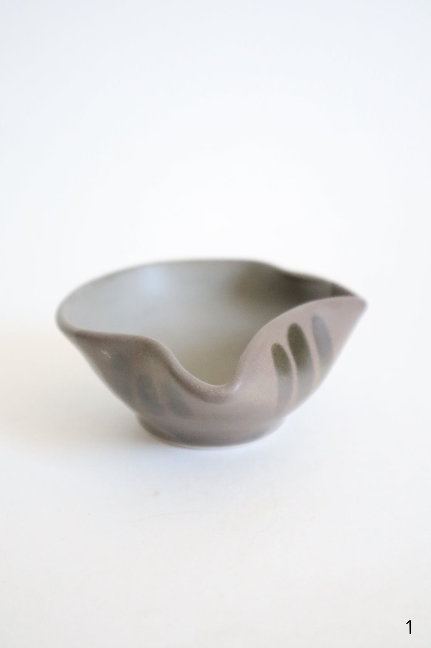 small gray cat dishes