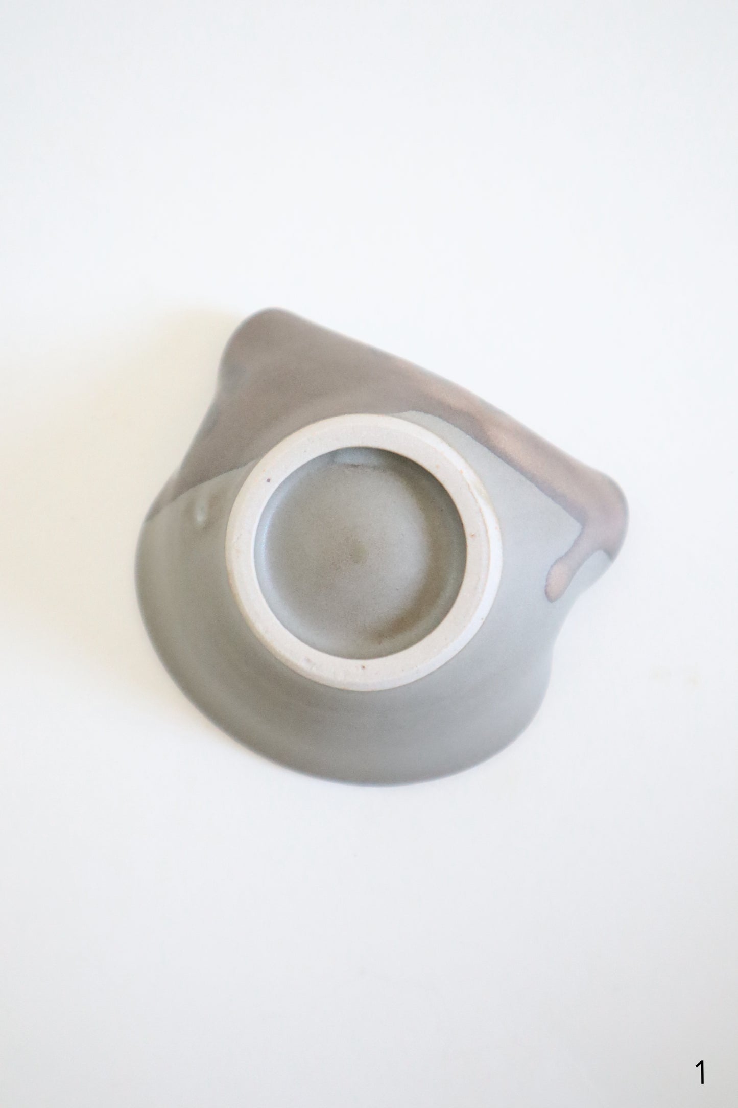 small gray cat dishes