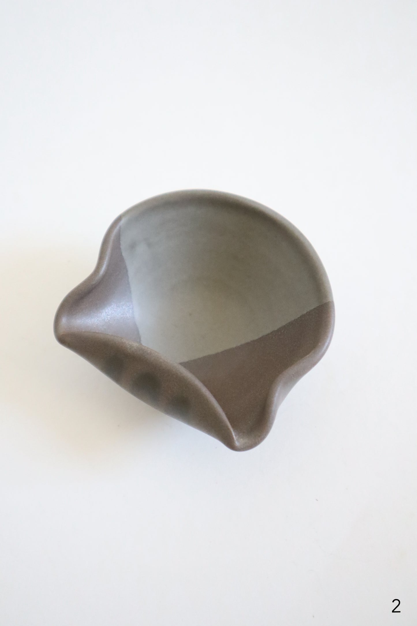 small gray cat dishes