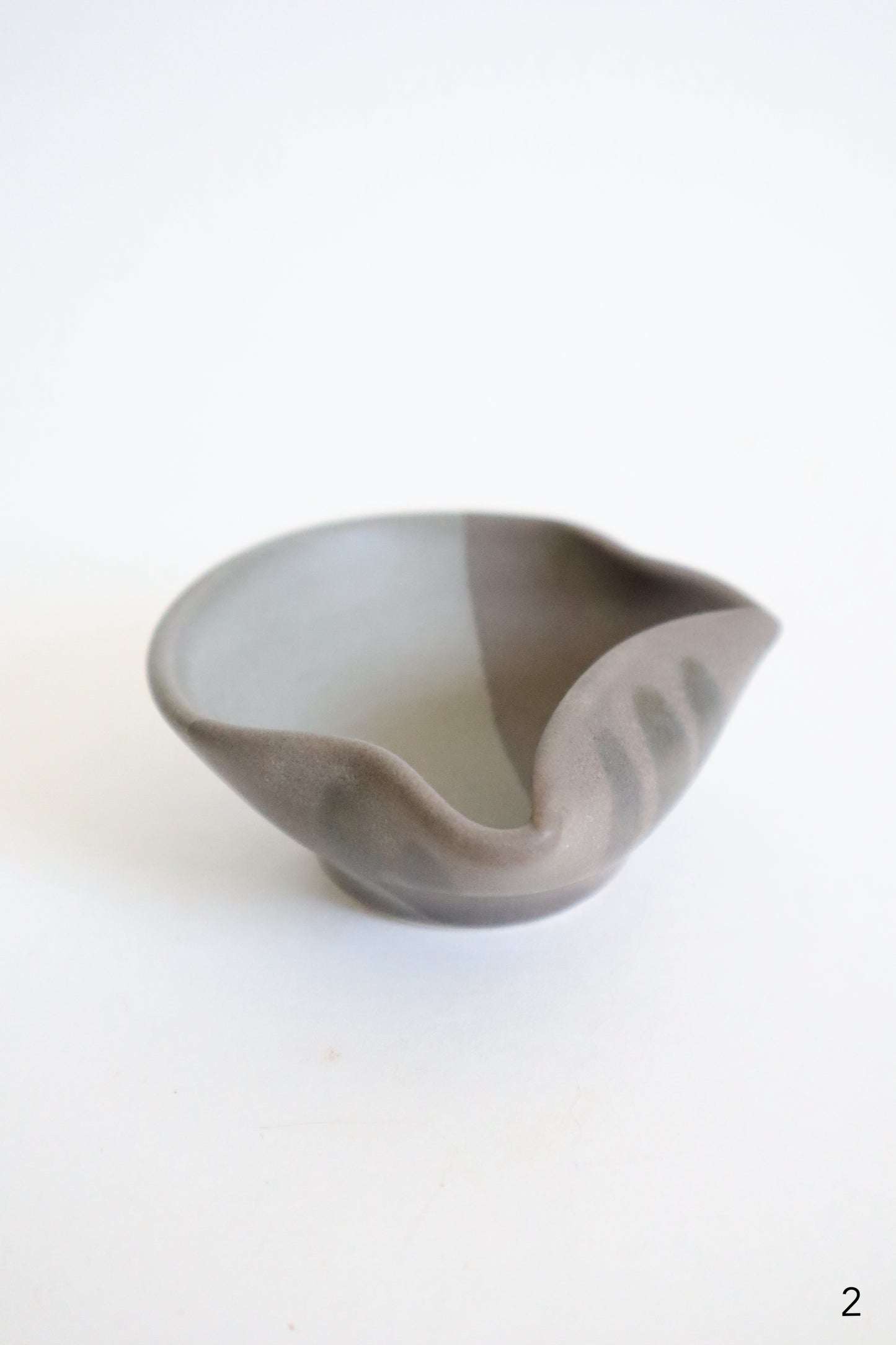 small gray cat dishes