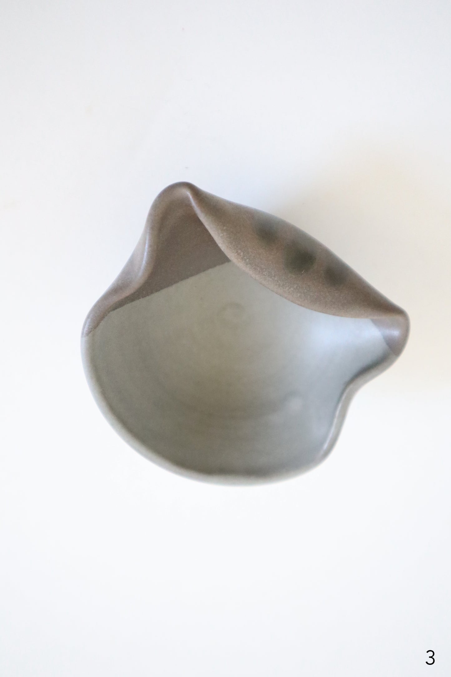 small gray cat dishes