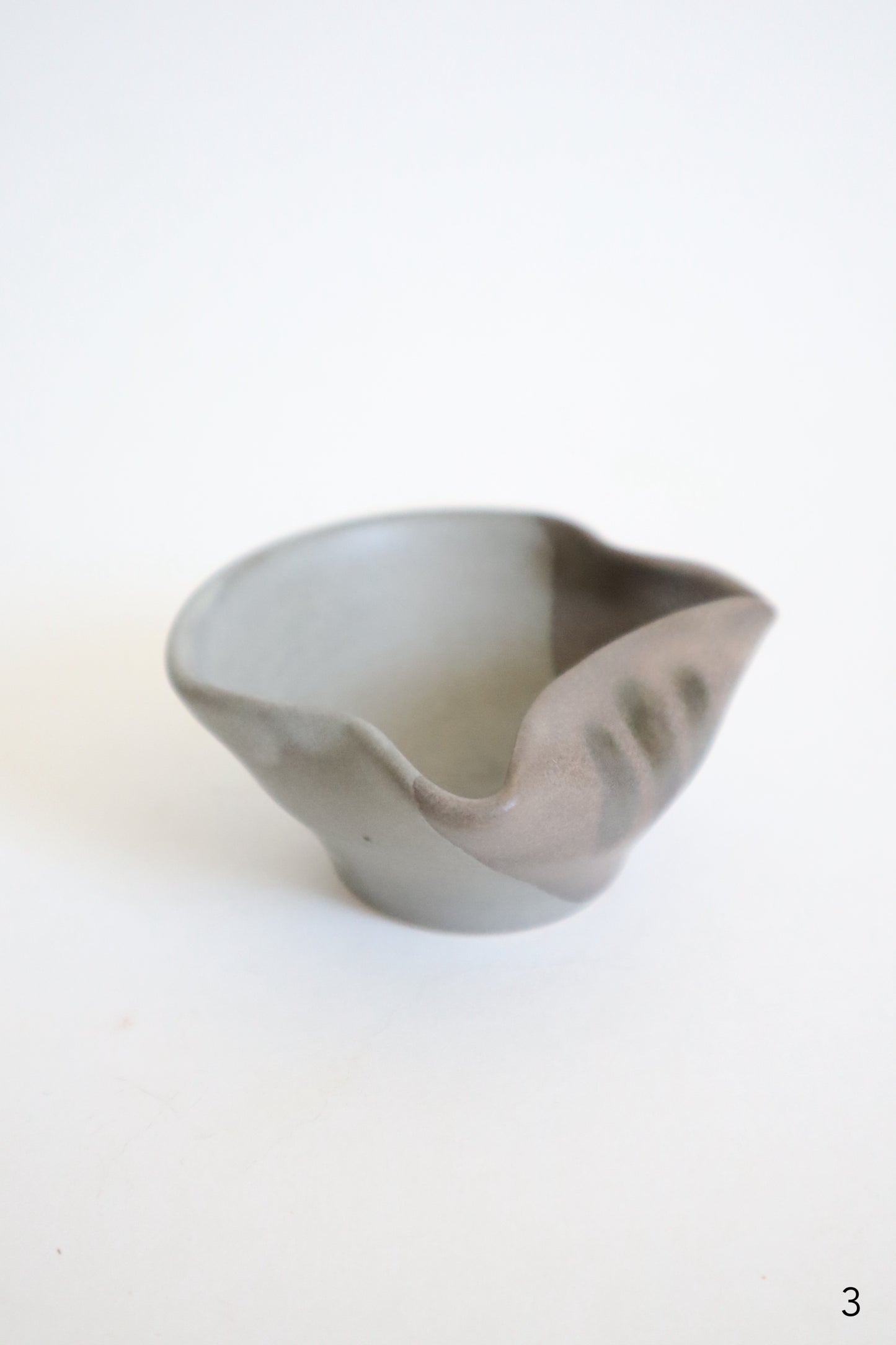 small gray cat dishes