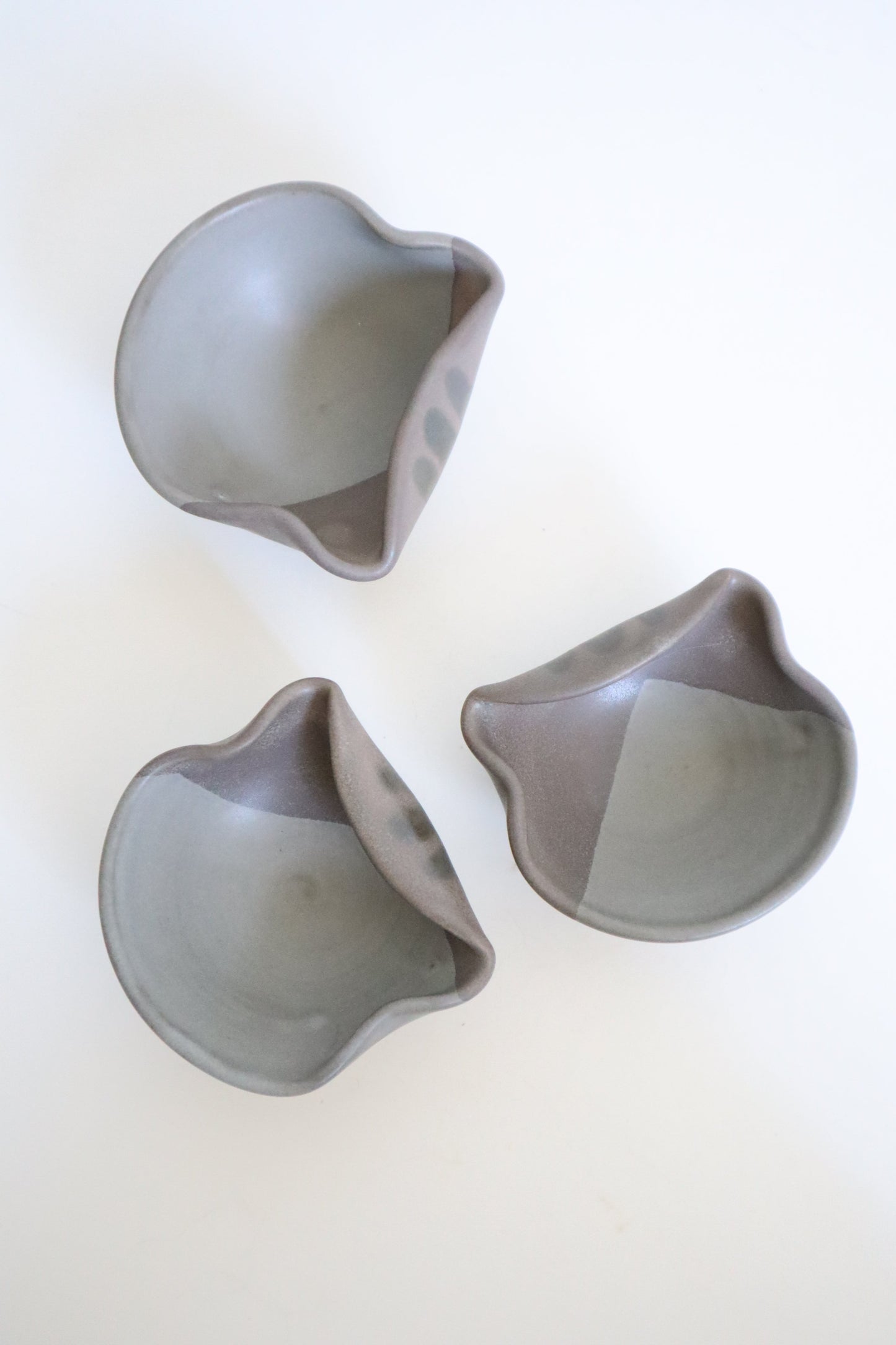 small gray cat dishes
