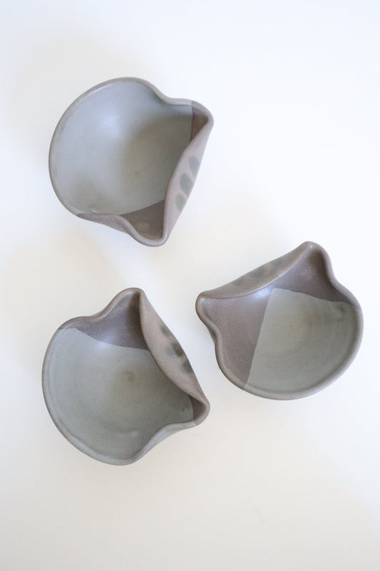 small gray cat dishes