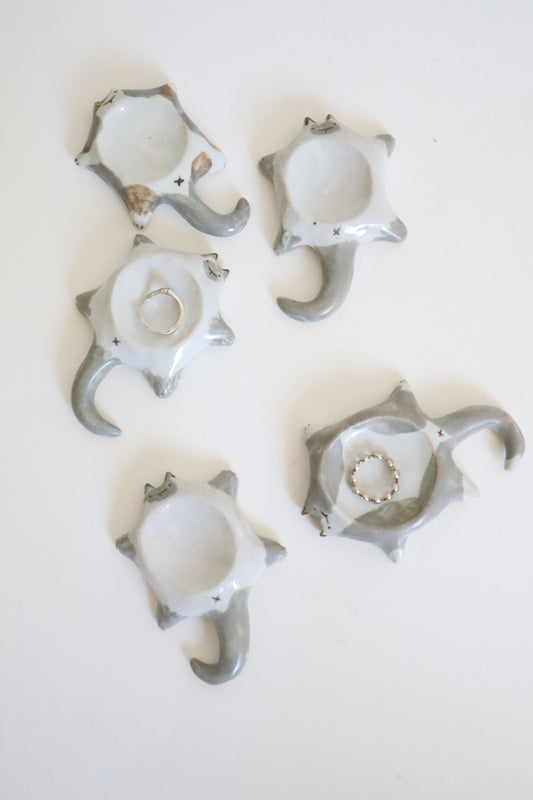 white & grey cat bellies